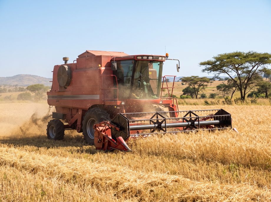 A combine harvester working a grain field